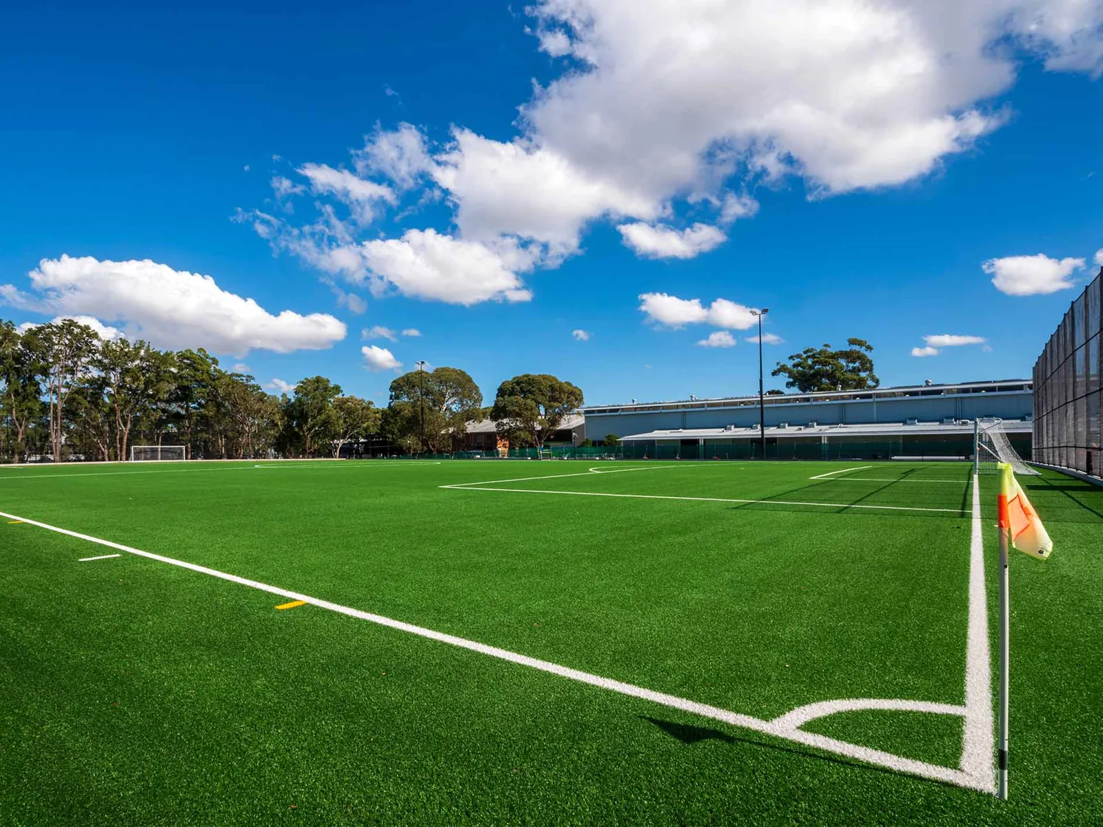 Synthetic sportsfield at Perry Park, Alexandria