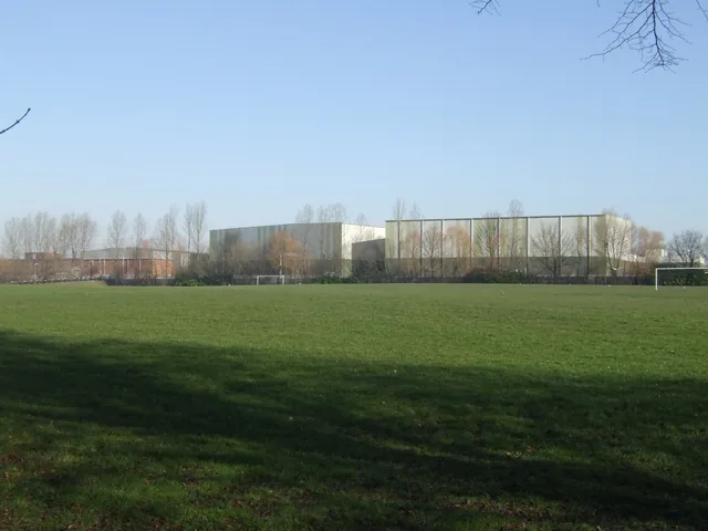 Football pitches on Fowlers Park, Wolverhampton (photo from 2008)